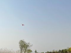 -绿堤公园