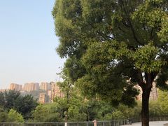 -沐仙湖湿地公园