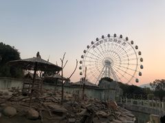 -常州淹城野生动物世界