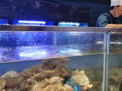 水产区-V-ONE西雅图海鲜自助餐厅(仓山万达广场店)