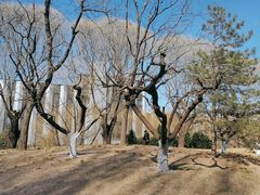 -元大都城垣遗址公园