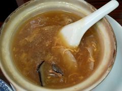 招牌花胶海参煲仔翅-添發碗仔翅美食