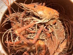 -隅乐胡椒虾·台湾菜·团建(皇岗店)