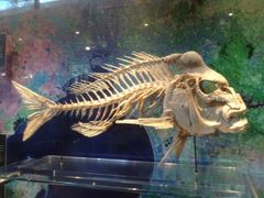 -墨尔本博物馆(Melbourne Museum)