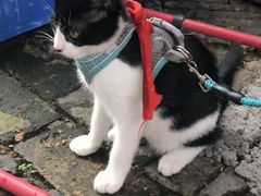 -熙盛源(复兴路店)