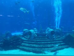 -亚特兰蒂斯•OSSIANO奥西亚诺海底餐厅