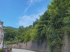 -四川省成都市彭州市白鹿镇