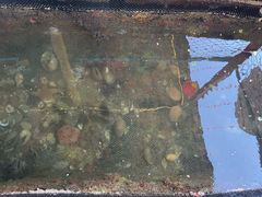 -蓝湾碧波·老字号·疍家非遗海上餐厅