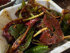 拌折耳根-梯坎豆花