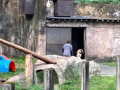 -重庆动物园·东二门售票处