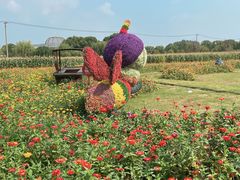 -苏州太湖西山岛开心农场