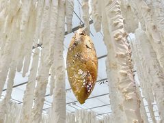 -上海当代艺术博物馆