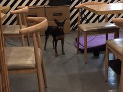 大堂-餮熹Tipsea法餐(吉大店)