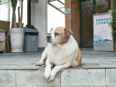 -乡村小榭饭店
