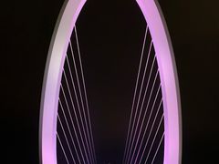 -南京眼步行桥