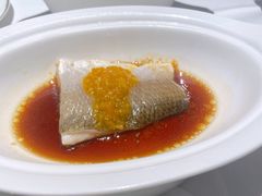 黄灯笼椒酱蒸湛江鲜马友鱼-广舟(千禧店)