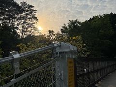 -东莞植物园