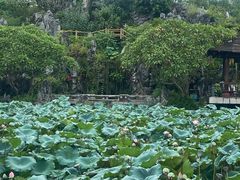 -惠州西湖风景名胜区-丰渚园