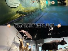 -中国湿地博物馆