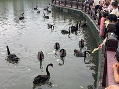 -202特色排档(五缘湾店)