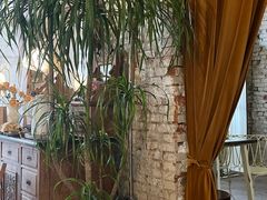 -Jo's Garden