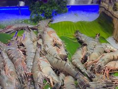 -花西亭·海鲜自助餐厅(瑞城名人酒店)