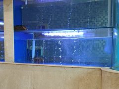 -红顶食府(滨湖九号店)