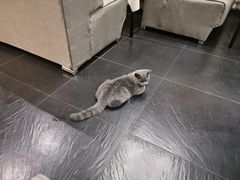 -吱咖啡西式简餐