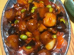 -素虎小呆鸟(西二旗店)