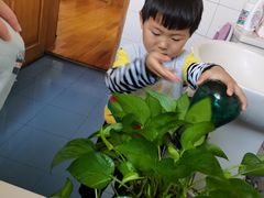 -徐汇区陇龙幼稚园