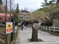 -神户市立六甲山牧场