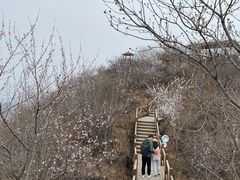 -大岭沟猕猴桃谷风景区