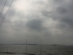 -海鸥岛