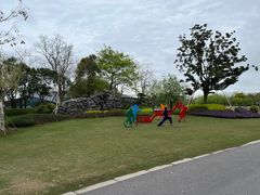 -上海长兴岛郊野公园