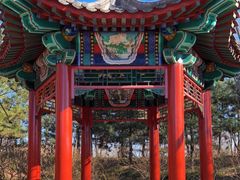 -北坞公园