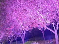 -城市传媒广场