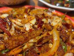 -柴窝堡22号辣子鸡·传承新疆菜