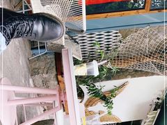 -喵屿·大理花园猫咖