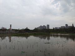 -中澳友谊花园