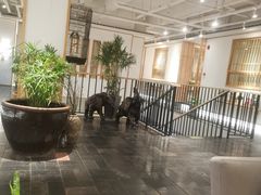 -瓦舍茶馆(聚源路店)