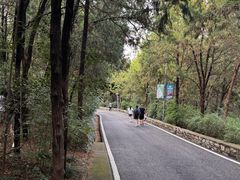 -云龙山