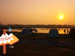 -春花秋色城市公园