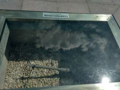 -滨江森林公园-真人CS野战场