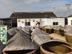 -苏州市吴中区光福窑上花果蜜饯厂