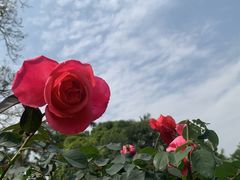 -人民公园(罗湖区)