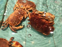 -王庄阿咪海鲜大排档(象园店)