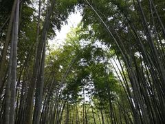-漫山居私汤民宿全竹宴