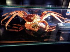 -同济大学四平路校区深海探索馆