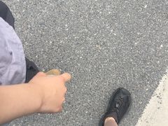 -黄埔油麻山森林公园