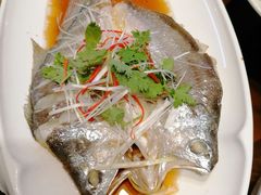 -山海菜馆·海肠捞饭·青岛菜(栈桥店)